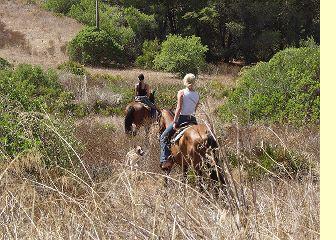 westernrijden in Portugal met Garano pony´s